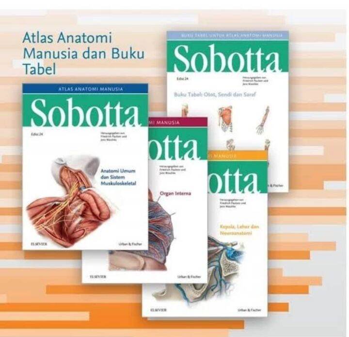 Paket 4 Buku Atlas Anatomi Manusia Dan Buku Tabel Sobotta | Lazada ...