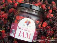 MULBERRY JAM แยมมัลเบอร์รี่ แยมหม่อน เนื้อเน้นๆ ไม่ใส่สารเสริม รสชาติจากธรรมชาติ | Evergreen Homemade แยมผลไม้ แยมผลไม้แท้