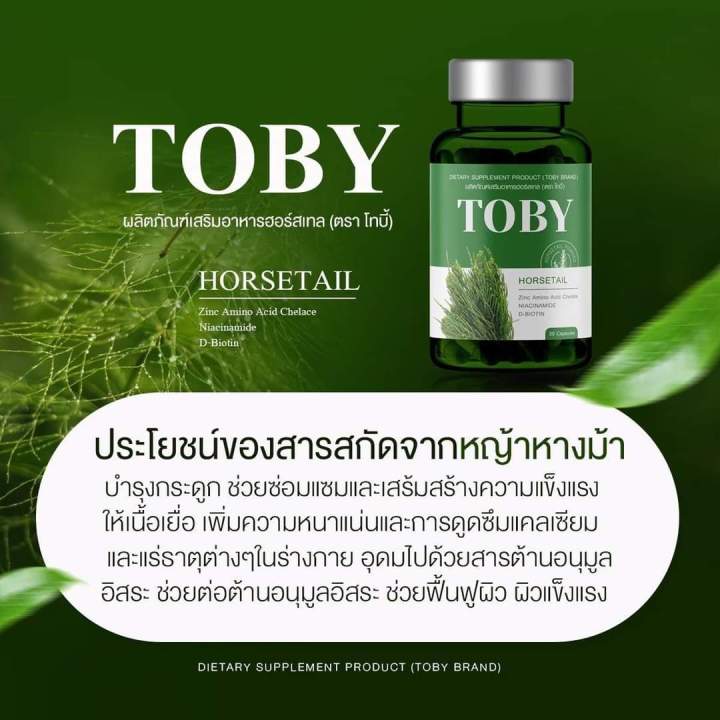 toby-horsetail-อาหารเสริมบำรุงเส้นผม