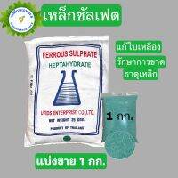 เหล็กซัลเฟต เฟอรัสซัลเฟต Ferous Sulfate Heptahydrate แก้ใบเหลือง บรรจุ 1 กิโลกรัม