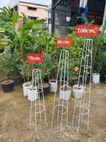 ซุ้ม T-Rose ทรีโรส 70cm , 90cm , 100cm ซุ้มกุหลาบ ซุ้มไม้เลื้อย กุหลาบ ดอกไม้ ซุ้มไม้ดอก