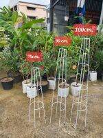 ซุ้มไม้เลื้อย T-Rose ทรีโรส 70cm , 90cm , 100cm , 1.5m  ,1.8m  ซุ้มกุหลาบ ซุ้มไม้เลื้อย Little TREE Factory ซุ้มต้นไม้ โครงต้นไม้ โครงดอกไม้ กุหลาบ