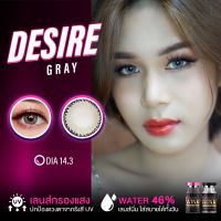 Desire gray by wink เทาขอบ ตาคม