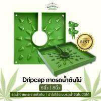 Drip cap ถาดรองดินรดน้ำ Grow cap 6นิ้ว และ 8นิ้ว ฝารองช่วยรดน้ำ