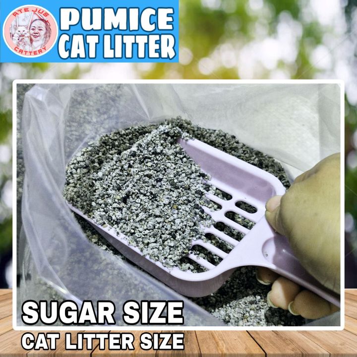 PUMICE CAT LITTER 10kg Ate Jus Cattery Lazada PH