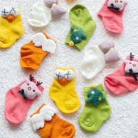 Colorfulness Collection ถุงเท้าเด็กน่ารัก สีสันสดใส