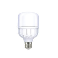 LEKISE หลอดไฟ LED Capella T-Bulb T80 30W แสงสีขาว