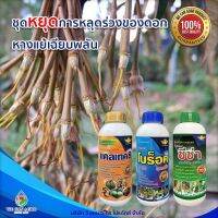 ชุดหยุดการหลุดร่วงของดอกหางแย้เฉียบพลัน บำรุงดอกทุเรียน (1ชุดประกอบด้วยอาหารเสริม 3ขวด)