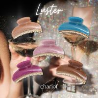 Chariot  Hair Claw Clip - Luster คลิปหนีบผมกลิตเตอร์ คลิปหนีบผมกากเพรช กิ๊ฟติดผมกลิตเตอร์ [ติดชื่อฟรี!!]