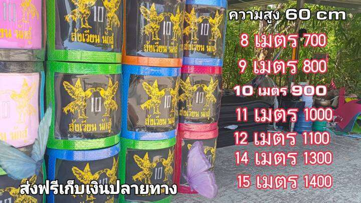 สังเวียน10เมตร