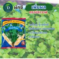 เมล็ดผักชีปลาวาฬ 300กรัม  ผักชีเพิ่มผล ต้นใหญ่ แตกกอดี ก้านและใบใหญ่ เมล็ดผักชี เมล็ดผักชีตราปลาวาฬ