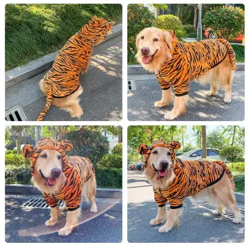 Tiger Dog Costume 