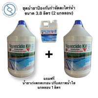 น้ำยาป่องกัน และกำจัดตะไคร่น้ำ เข้มข้น (Poolbrink Algaecide Plus+) ขนาดบรรจุ 3.8 ลิตร (2 แกลลอน)