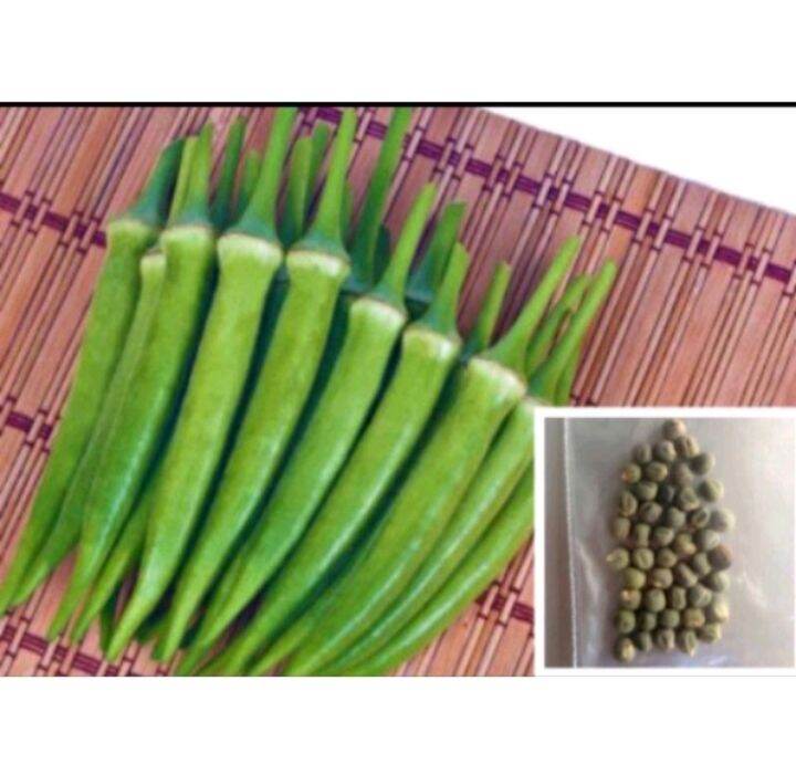 Okra Seeds/Seeds for Planting(50seeds per pack) Lazada PH
