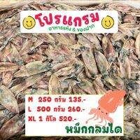 หมึกกลมได