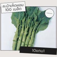 เมล็ดผักคะน้าเห็ดหอม เมล็ดพันธุ์ผัก เมล็ดผัก 10แถม1 คละได้