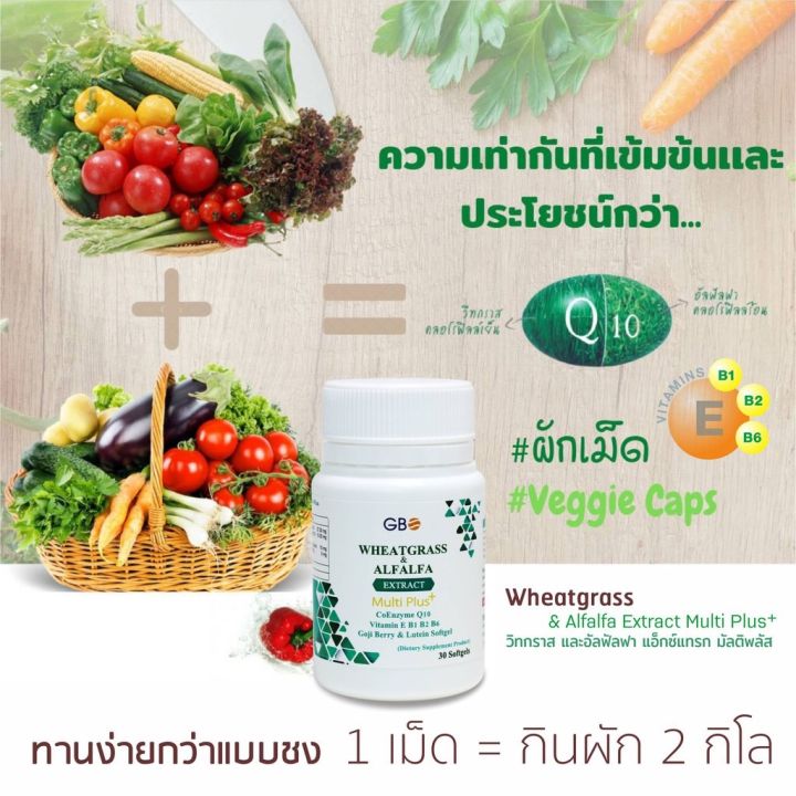 กะปุก-30-เม็ด-ผักเม็ด-newlife-globalone-wheatgrass-amp-alfalfa-nbsp-q10-ผักเม็ดนิวไลฟ์