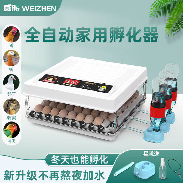 Egg Incubator Water Bed Chicken Rutin Chicken Incubator Small Machine ...