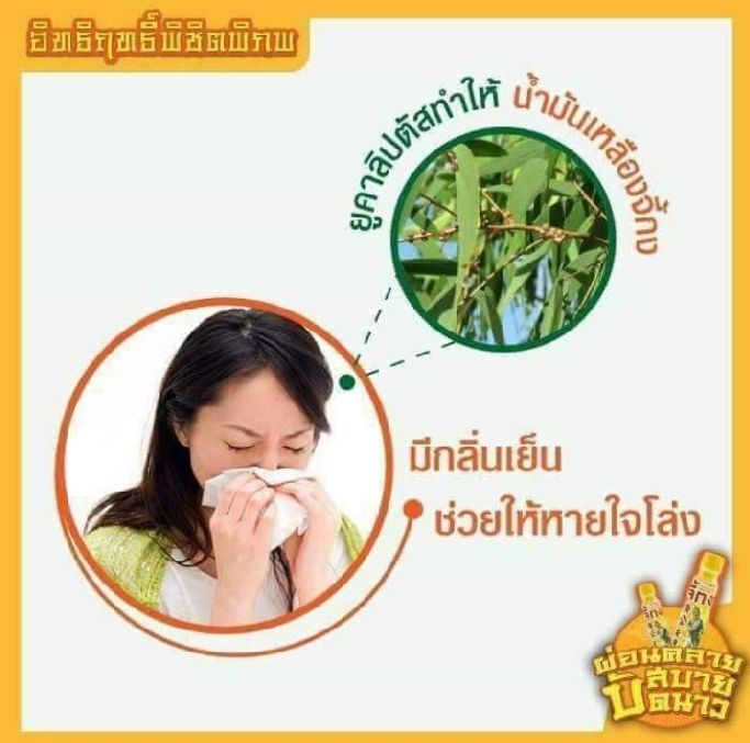 น้ำมันเหลืองตราจี้กง-ขายยกกล่อง12ขวด-12