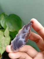 #AG47 Agate Geode โพรงอาเกต #druzy หินธรรมชาติ หินสะสม

น้ำหนัก 23.3 g