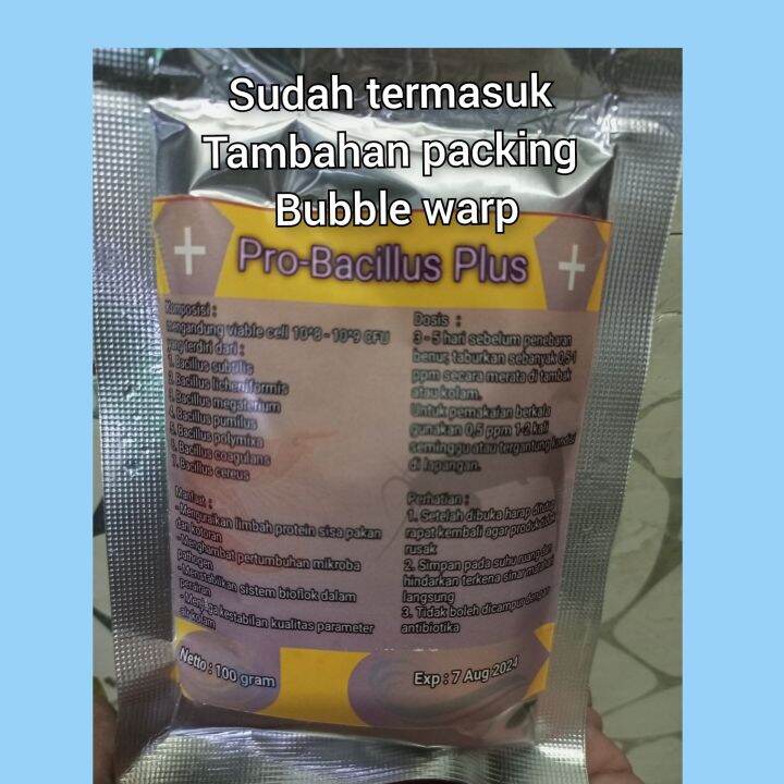 Probiotik Bacillus Plus 100 Gram / Probiotik Kolam Bioflok / Probiotik ...