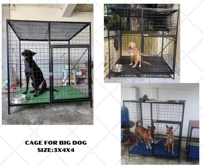 Dog Cage size 3x4x4 Lazada PH
