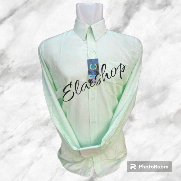 kemeja pria warna hijau mint/kemeja polos lengan panjang | Lazada Indonesia