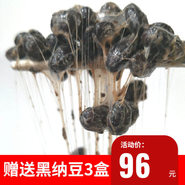 Shou Pai Black Natto Domestic Original Japanese Style Sodium Natto