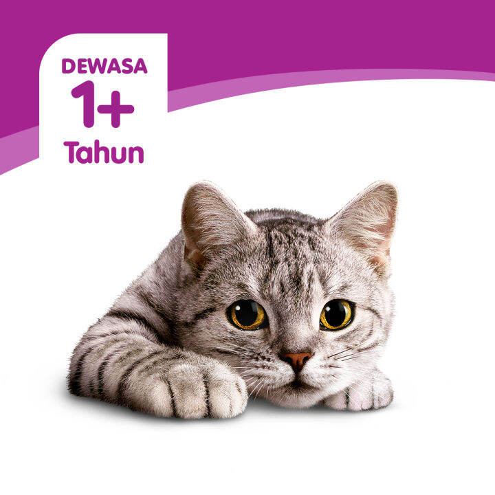 WHISKAS Cat Wet Food Pouch (48Pack), 80g. Makanan Kucing Basah Untuk Usia 1+ Tahun Lazada