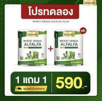 ?1 แถม 1 ?ส่งฟรี ‼️ ยูมิโกะ วีทกลาส อัลฟาฟ่า คลอโรฟิลล์ ไฟเบอร์ ดีท็อกซ์ ล้างลำไส้ ขับถ่ายง่าย ขนาดจัมโบ้ 200 กรัม