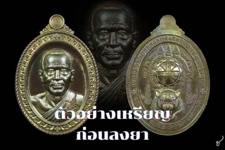 เหรียญพยัคฆ์หนุนดวง-ลุ้นเนื้อ-หลวงพ่อทอง-วัดบ้านไร่-คละสุ่ม