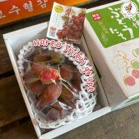 ส่งฟรีรถเย็น! Hareo Shien grape ?? องุ่นนำเข้าเข้าจากญี่ปุ่น หอมหวาน ในแพคเกจกล่องพรีเมียม