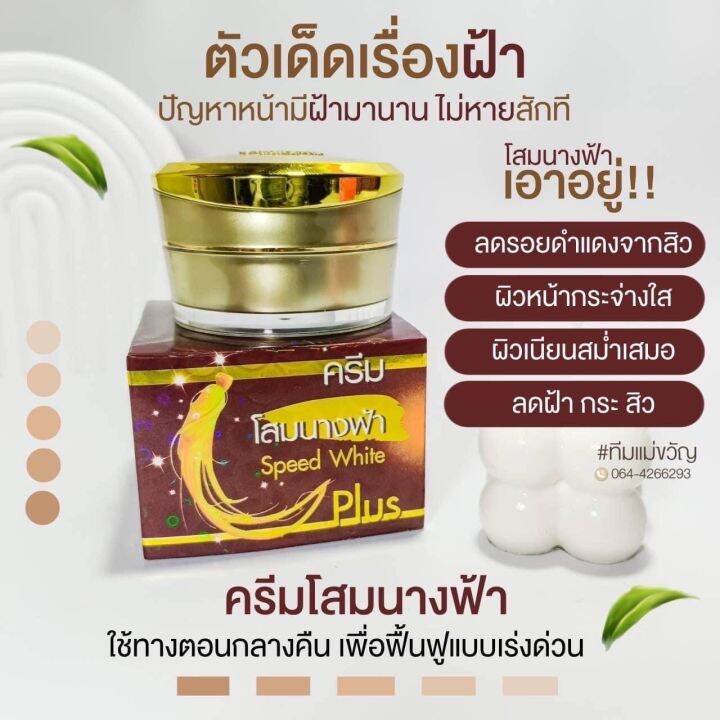 set-5-กล่อง-ครีมโสมนางฟ้า-ของเเท้100-speed-white-plus-premium-ginseng-ครีมกลางคืน-ขนาด-20-กรัม