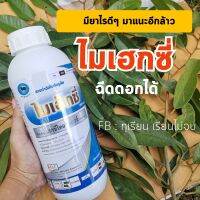 ไมเฮกซี่ สารกำจัดไรแดง สูตรเย็น เฮกซ๊ไทอะซอกซ์  ขนาด 1000 มล.