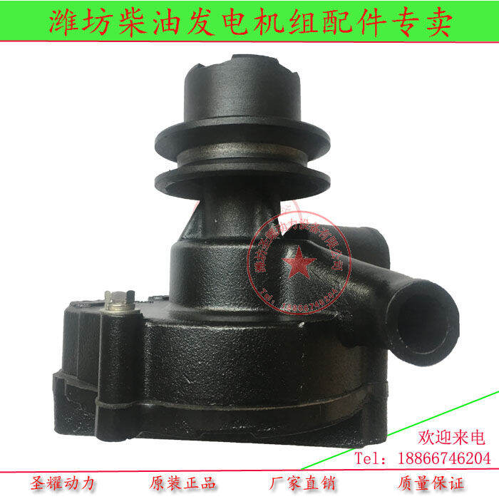 Weifang 495d Diesel Engine Water Pump 495 Diesel Part Water Pump