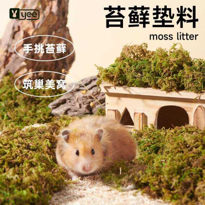 Yee Hamster Forest Dry Moss Padding Djungarian Hamster Nesting Digging ...