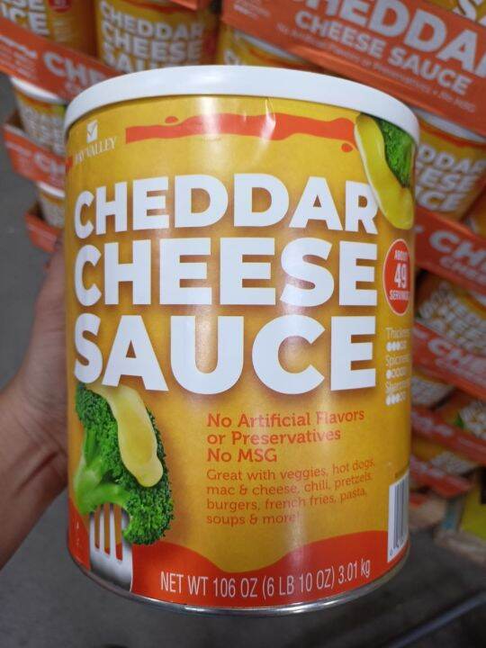 Bay Valley Cheddar Cheese Sauce 3.01kg Lazada PH