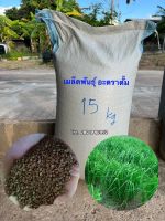 เมล็ดพันธุ์หญ้าอะตราตั้ม 15 กิโล