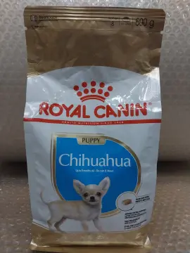 Chihuahua royal outlet canin junior