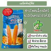 เมล็ดพันธ์ุข้าวโพดเลี้ยงสัตว์ นว3 นครสวรรค์3 10กิโล 3 หุน