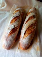 Walnuts baguette Sourdough 500g (1 ชิ้น) ทานง่าย ยีสธรรมชาติ