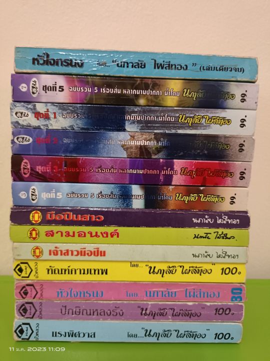 ขายนิยายรักโรแมนติก-รุ่นเก่า-นักเขียน-นภาลัย-ไผ่สีทอง-มือสองสภาพอ่านปนเช่า