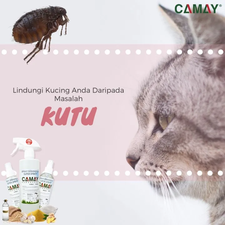 Spray Kutu Kucing Flea & Ticks Camay Repellent 200ml / 500ml | Lazada