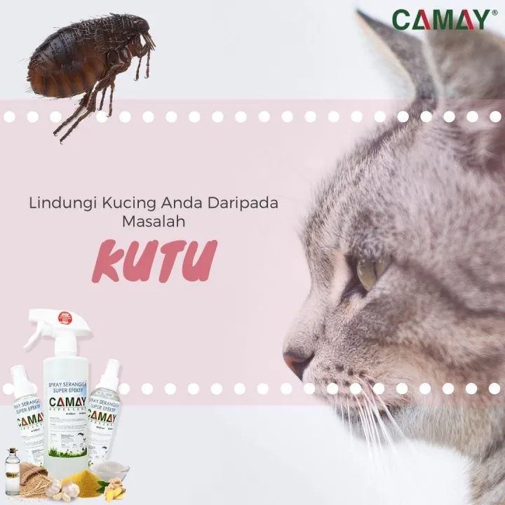 Spray Kutu Kucing Flea & Ticks Camay Repellent 200ml / 500ml Lazada