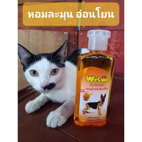 พร้อมส่งไวมาก-แชมพูสุนัข-แชมพูแมว-แชมพูอาบน้ำสำหรับสัตว์เลี้ยง-ขนาด-250ml