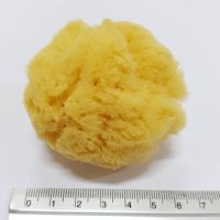 Natural Sponge ฟองน้ำ ฟองน้ำแท้แจากธรรมชาติ100% จากทะเลเมดิเตอร์เรเนียน