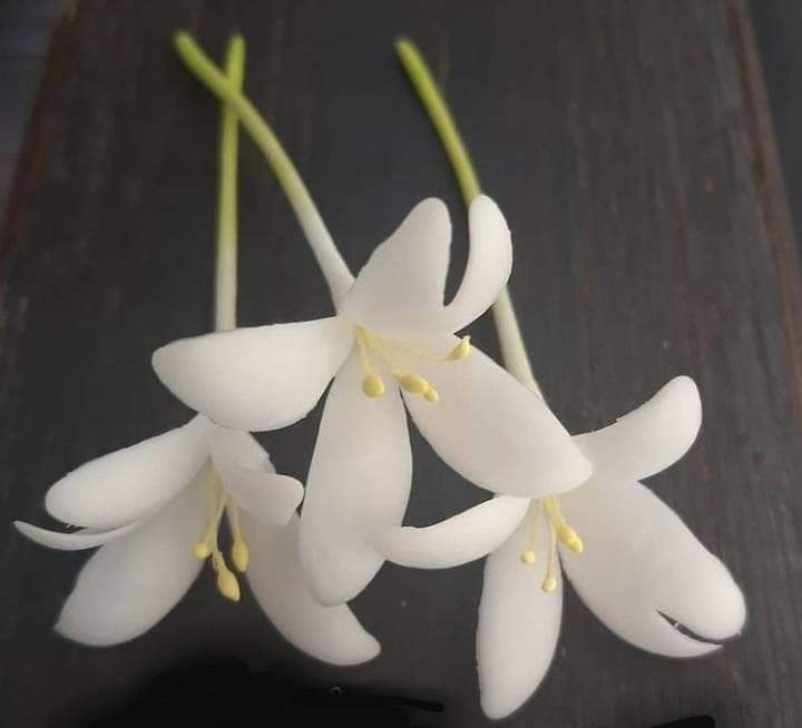 ดอกปีบ-ดอกกาสะลอง-เซ็ตละ-50-บาท-1-เซ็ตมี-10-ดอก-ดอกไม้ติดผม-ดอกไม้ทัดหู-ดอกไม้ปั้นจากดินไทย