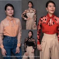 (นางแบบใส่ชุดขาย) FW LadY GoodY SeetHrough ToP เสื้อแขนยาวซีทรู เสื้ออกเว้า แต่งดอกไม้สีดำ เสื้อซีทรู เสื้องานปักดอห ผูกโบช่วงคอสวยเก๋ เสื้อน่ารักๆ มีกระโปรงเข้าชุด **งดรับลค.ดราม่า