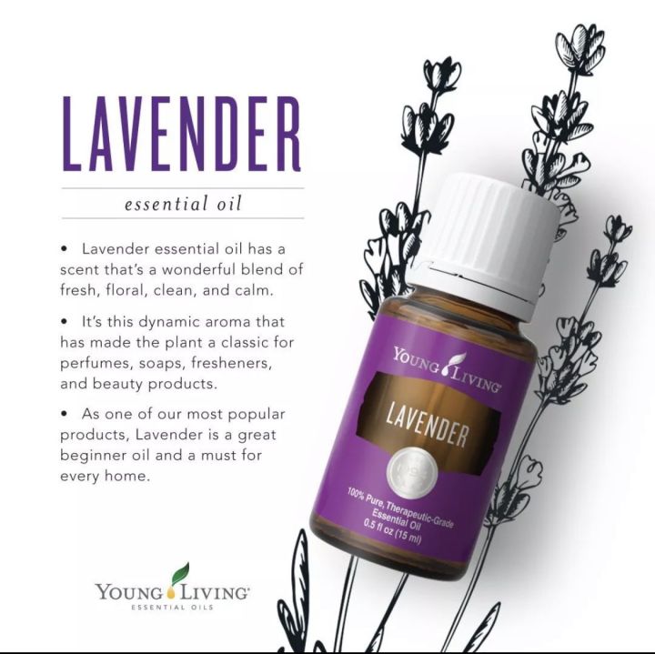 Young Living Essential Oil 5ML Lavender | Lazada PH