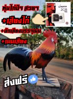 ไก่ป่า ไก่ป่าตัวผู้ พร้อมเสียง  ส่งฟรี ไก่ป่าปลอม สายป่าห้ามพลาด